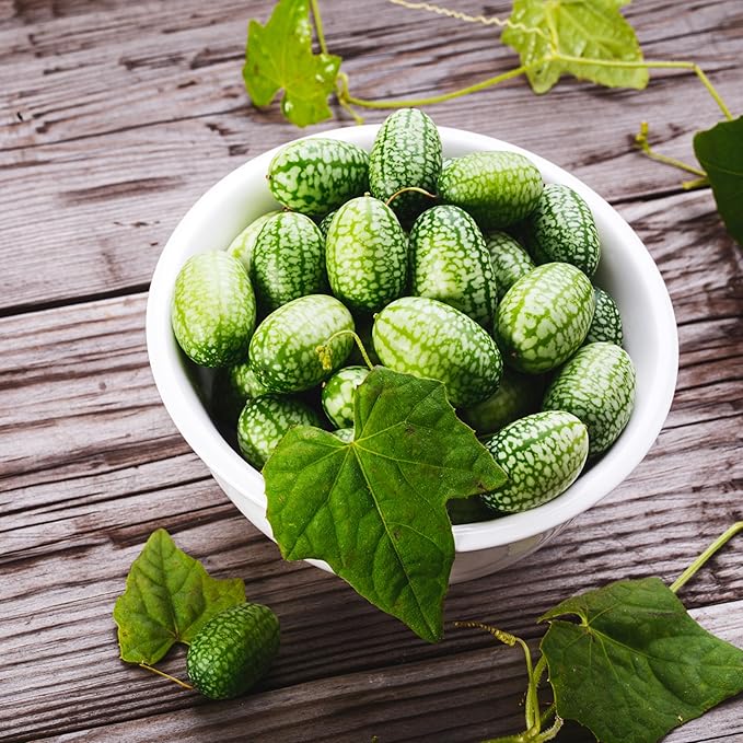 TKE Farms & Gardens - Cucamelon Seeds for Planting, 75 Heirloom Non GMO Seeds, Mexican Sour Gherkin Mouse Melon, Delicious Mini Fruits, Easy to Grow, Includes Instructions, Rare Garden Seeds, 1 Pack
