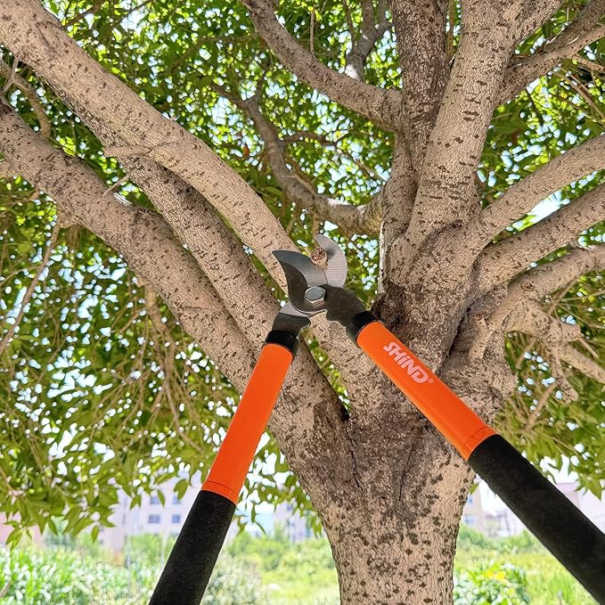 SHIND Lopper Heavy Duty Branch Cutter Tree Clippers with Compound Action, Chops Thick Branch Ease, Garden Loppers Pruning, 15 Inch Tree Trimmer with 1.6” Clean Cut Capacity (15 Inch)