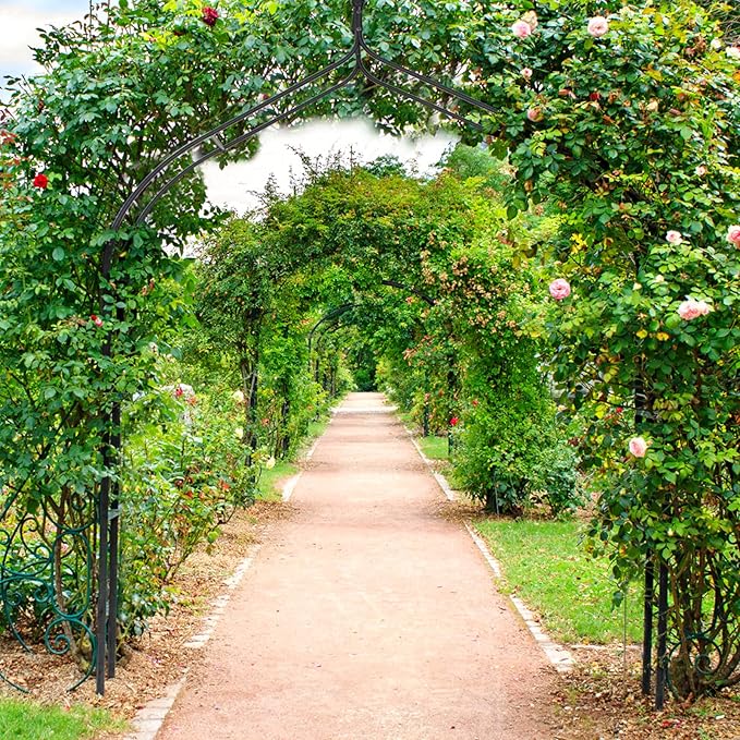GOFLAME Metal Garden Arch, Rose Garden Arbor for Various Climbing Plant, Outdoor Lawn Backyard, Gothic Style Arch Stand Wedding Party Ceremony Decoration