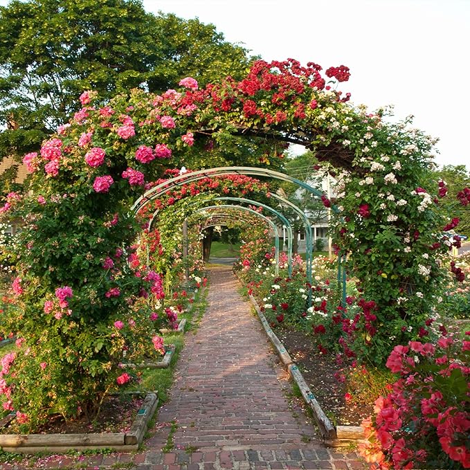 RUBFAC 94" Metal Garden Arch Trellis for Climbing Plants Outdoor, Garden Arbors and Arches, Halloween Archway for Pumpkin Balloon Rose Vines Wedding Christmas Birthday Party Decorations, Army Green