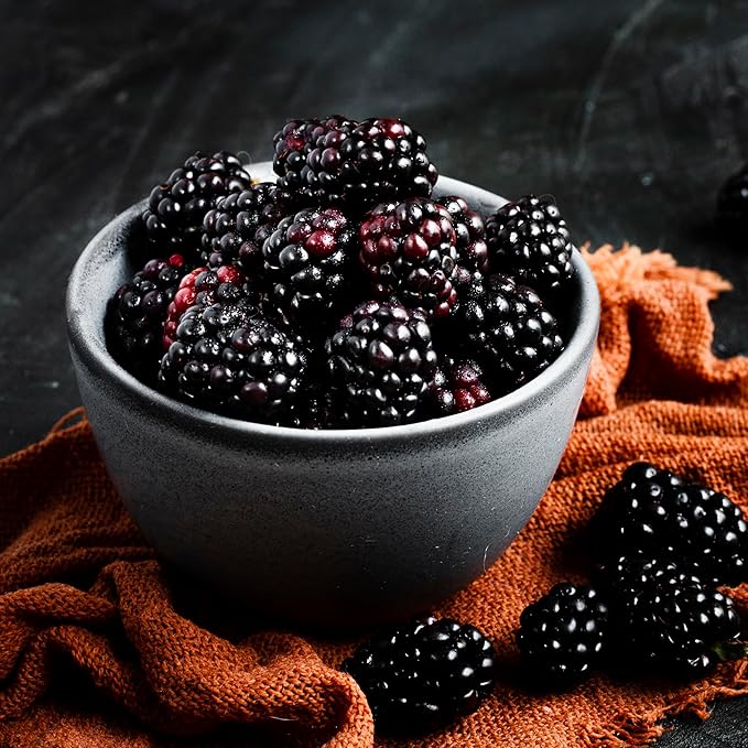 BlackBerry Plant Freedom-Ark (4 Pack) | Live Fruit Plant for Planting | Thornless & High-Yielding Variety | Large, Sweet & Juicy Berries | Perfect for Fresh Eating & Organic Gardens | Easy to Grow