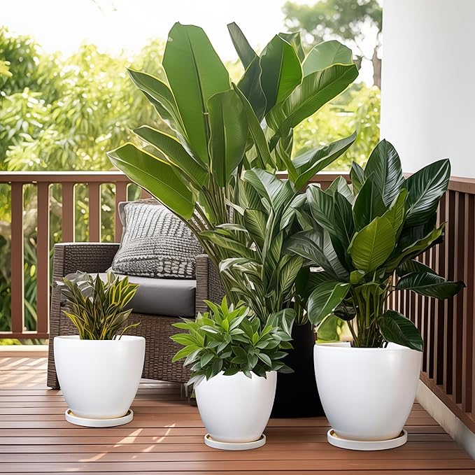 Ceramic Planter - 10 Inch Plant Pot with Drainage Hole and Tray, Flower Pot Planters for Indoor Plants, Modern Room Garden Patio Bathroom Living Room Porch Home Decor, White