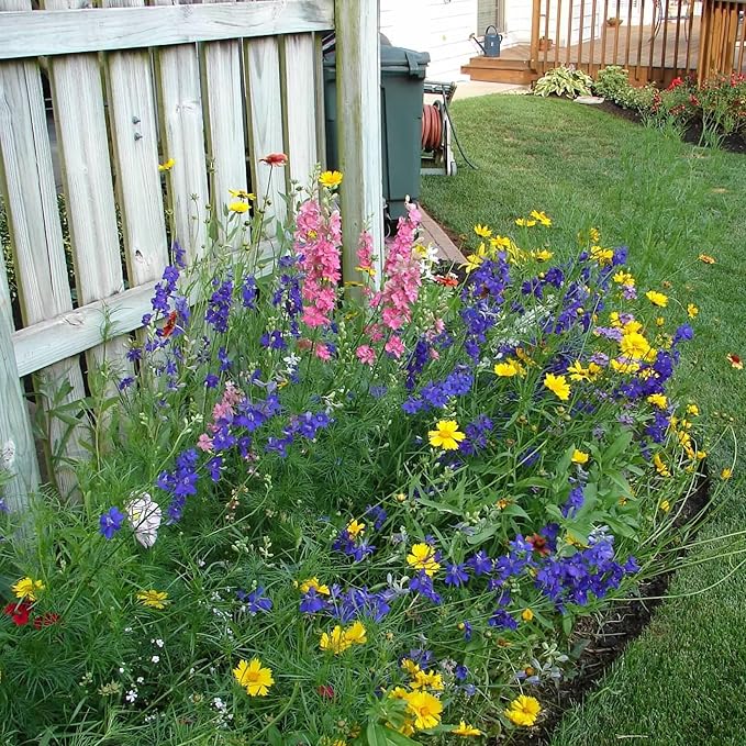Created By Nature Nevada Wildflower Seed Mix, 14 Flower Varieties, 30,000 Seeds