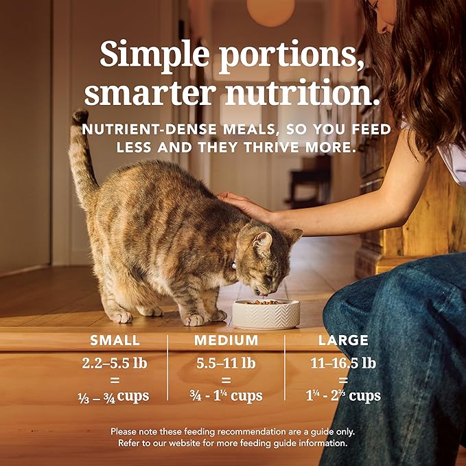 Feline Natural High Protein Dry Cat Food, Freeze-Dried Diet with 98% Meat, Organs & Seafood, No Peas, Grains, or Artificial Additives, Made in New Zealand, Lamb & King Salmon, 1.8lb