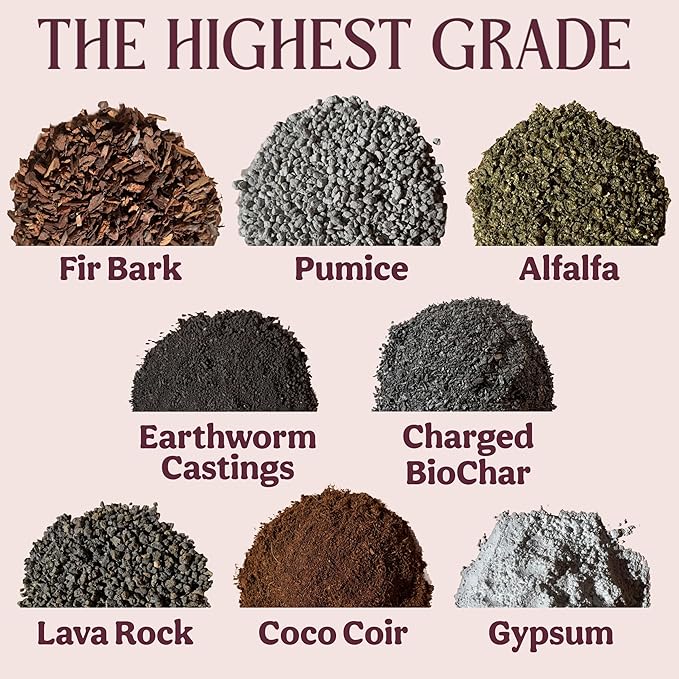 Craft Organic Houseplant Potting Mix, Elite House Plant Soil, Chunky, Well Draining Potting Soil for All Indoor Plants, Tropical Plants & Flowers, Sustainable & Peat Free, Less Prone to Gnats, 2QT