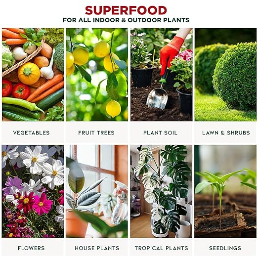 GARDENERA Premium Organic Seaweed & Kelp Superfood for Citron Plants - 8 oz - Liquid Kelp Fertilizer Concentrate (Makes 45 Gallons)