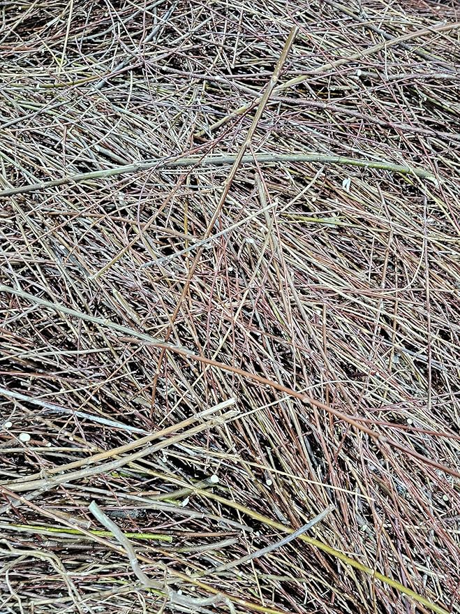 100% Natural Willow Tree Straw | Mulch, Animal Bedding (5 Pounds)