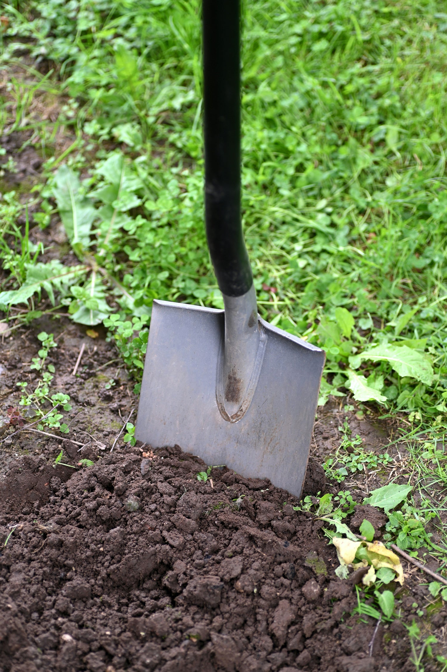 Shovels