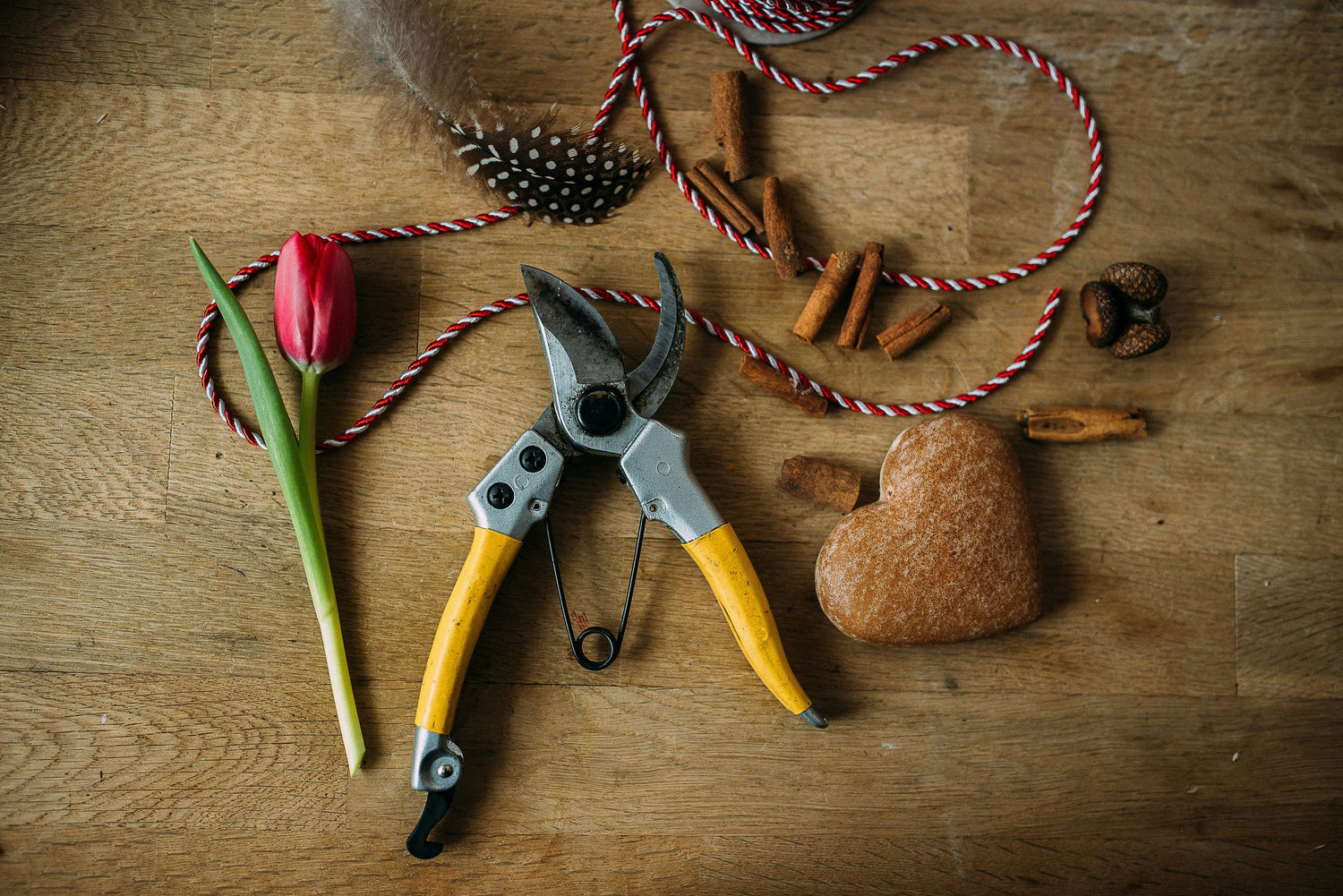 Shears & Scissors