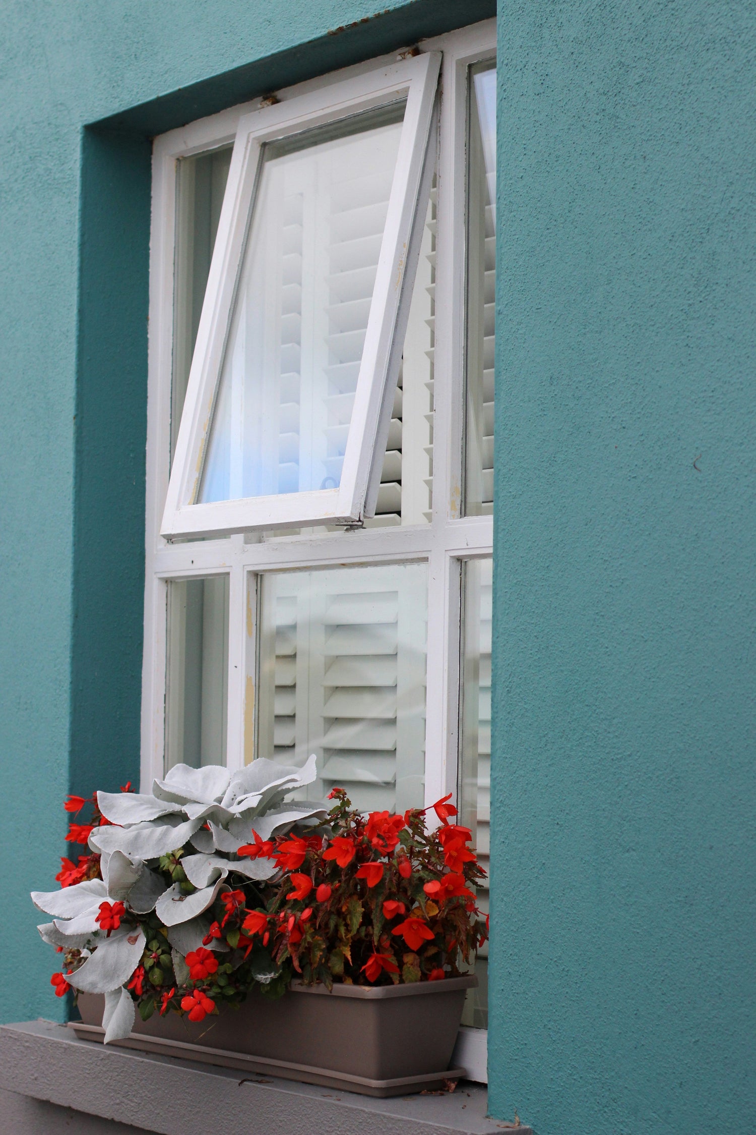 Window Boxes