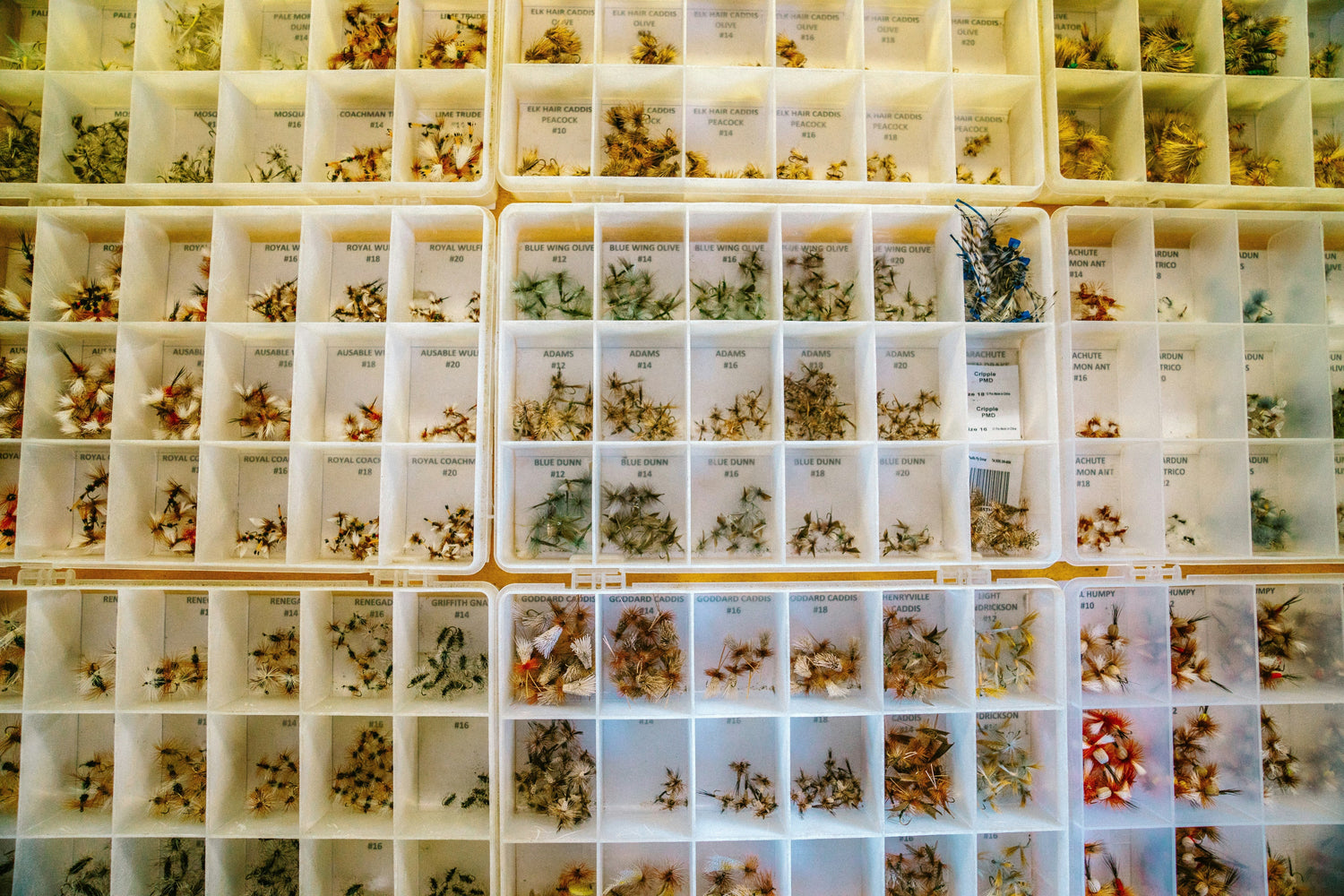 Seed Storage