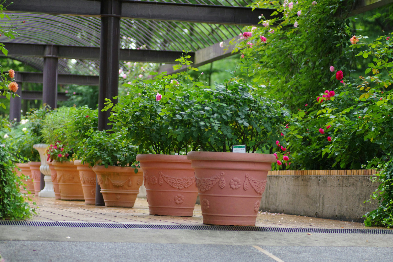 Planters & Garden Pots