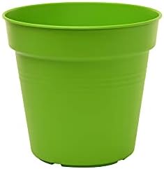 Mintra Home Garden Pots 4pk - Flowers, Herbs, Plants, Indoor, Outdoor, Colorful, Wholesale, Bulk (Light Green, 11cm Diameter (4.3in))