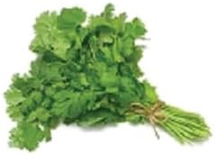 Todd's Seeds Coriander (Split Seed Cilantro) Slo-Bolting Herb Seed, Non-GMO, Chemical Free, High Germination (1/4 Pound)