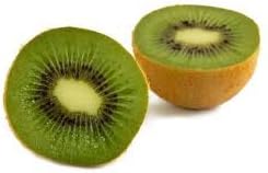 Kiwi Fruit (Actinidia Chinensis) Vine Great Heirloom 50 Seeds by Seed Kingdom