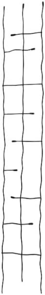 Panacea 89484 Black Forged Narrow Twig Trellises, Pack of 3 – 72" H Metal Garden Trellises with Twisted Rod & Leaf Design – Durable Outdoor Plant Supports for Climbing Vines, Flowers & Vegetables