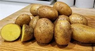 Simply Seed ™ - 2 LBs - Naturally Grown - Yukon Golds - Non GMO - Ready for Planting! - American Raised