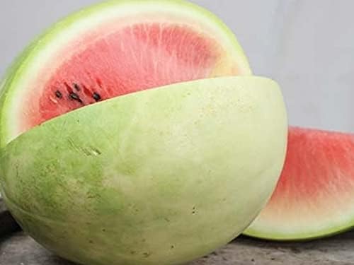 Seeds Watermelon Snow White Giant Heirloom Vegetable for Planting Non GMO