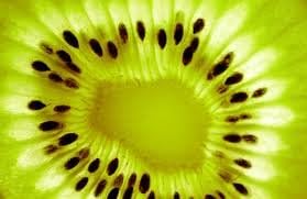 Kiwi Fruit (Actinidia Chinensis) Vine Great Heirloom 50 Seeds by Seed Kingdom