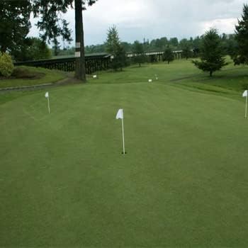 Outsidepride True Putt Perennial Creeping Bluegrass Seed - 2 Lbs. Shade-Tolerant Bluegrass for Golf Courses & Home Putting Greens - Ideal for Dense, Fine-Textured Lush Turf in Low-Light Areas