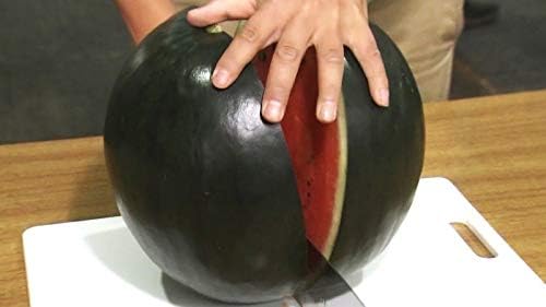 Watermelon Black Beauty Seeds – Citrullus Lanatus | Sweet & Juicy Heirloom Variety | Large, Dark Green Melons