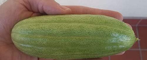 Seeds Vegetable Cucamelon (Cross Cucumber and Melon) Vine - 20 Seeds
