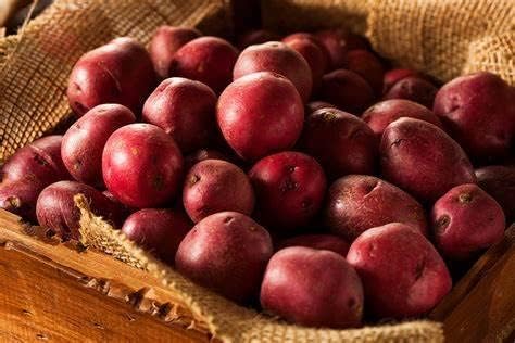 Simply Seed - 2 LB - Hand Selected Red Pontiac Seed - Non GMO - Naturally Grown - Ready to Grow