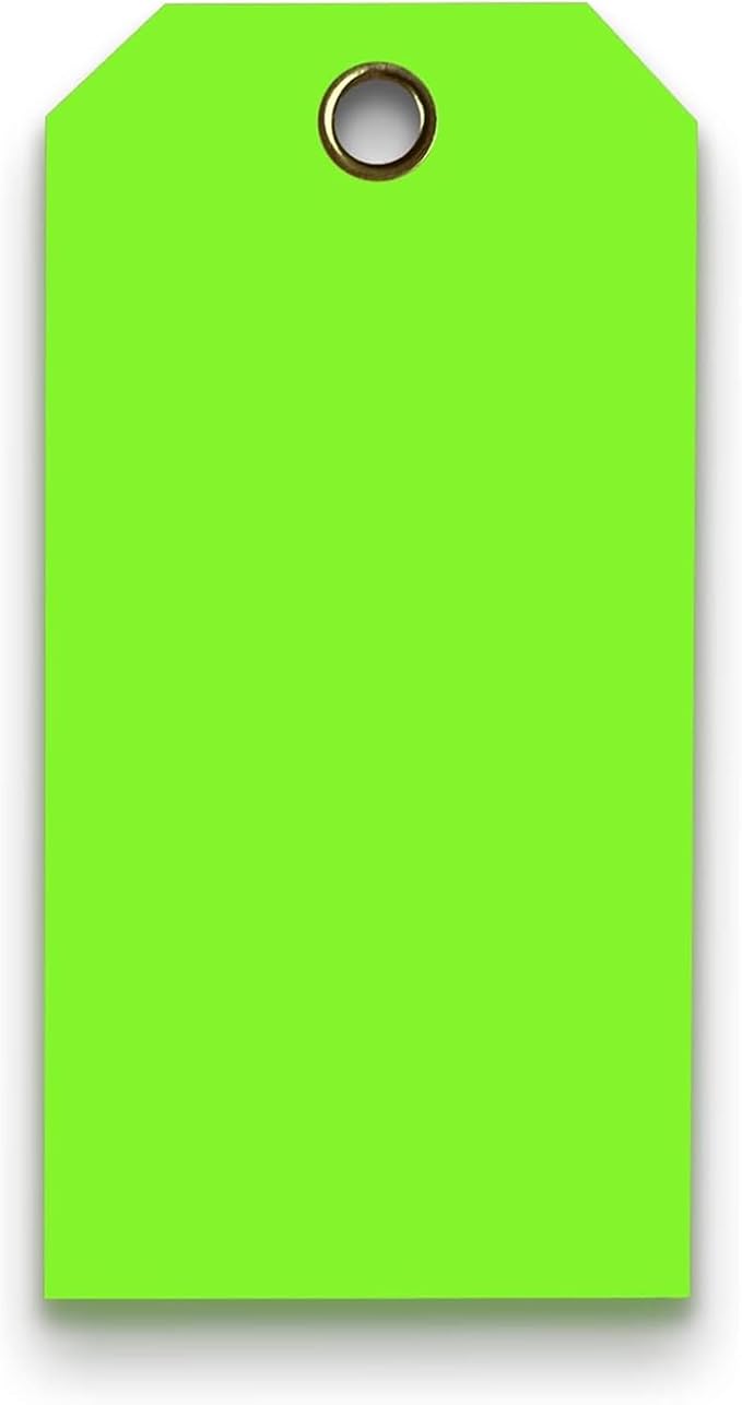 Tags 4 Less 15 Mil Waterproof Plastic Tags, Pack of 100 – 4” x 8” Heavy Duty Plastic Tags for Labeling, Outdoor Tagging, Equipment Labeling, Luggage, Valves & More (Fluorescent Green)