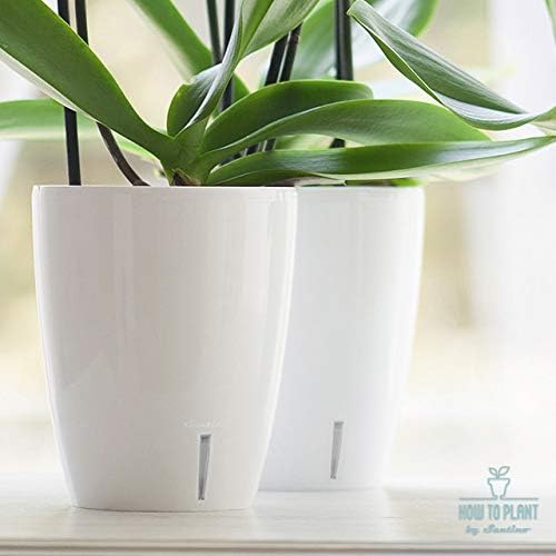 Santino 5.5 Inch ORCHIDEA Self Watering Pots for Orchids in Lilac - Decorative Wicking Planter with w/ Great Aerification, Drainage and Water Level Indicator