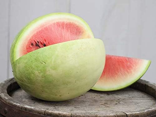 Seeds Watermelon Snow White Giant Heirloom Vegetable for Planting Non GMO