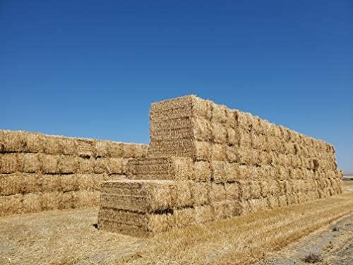 Green Stripe Organic Matter Garden Straw (5lb) Straw Mulch for Gardens, Yard Landscaping, New Lawn Grass Seed, Tomato & Vegetable Compost & Fertilizer | Covers up to 75 sq ft. Farmer Direct