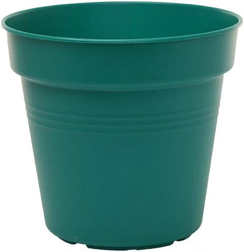 Mintra Home Garden Pots 4pk - Flowers, Herbs, Plants, Indoor, Outdoor, Colorful, Wholesale, Bulk (Forest Green, 13cm Diameter (5in))