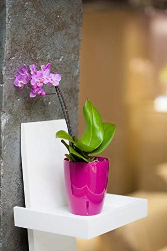 Santino 4.9 Inch ORCHIDEA Self Watering Pots for Orchids in Anthracite (Set of 3) - Decorative Wicking Planter with w/Great Aerification, Drainage and Water Level Indicator