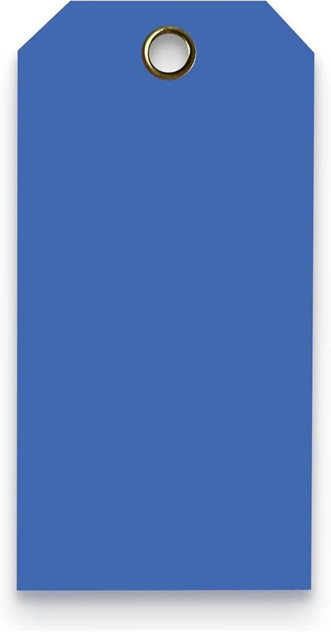 Tags 4 Less 15 Mil Waterproof Plastic Tags, Pack of 100 – 3” x 6” Heavy Duty Plastic Tags for Labeling, Outdoor Tagging, Equipment Labeling, Luggage, Valves & More (Dark Blue)