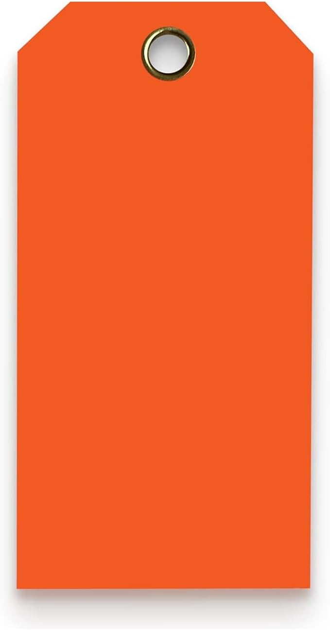 Tags 4 Less 15 Mil Waterproof Plastic Tags, Pack of 100 – 2” x 4” Heavy Duty Plastic Tags for Labeling, Outdoor Tagging, Equipment Labeling, Luggage, Valves & More (Orange)