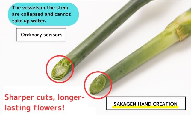 Flower shears - Professional Ultra Sharp Made in JAPAN Garden Scissors SAKAGEN HAND CREATION P-180 (Red)
