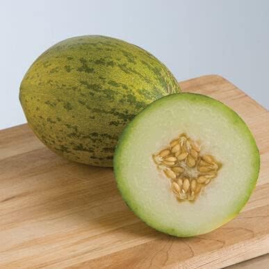 Melon Seeds for Planting (10 Seeds) - Grow Your Own Food (Coconut Melon)