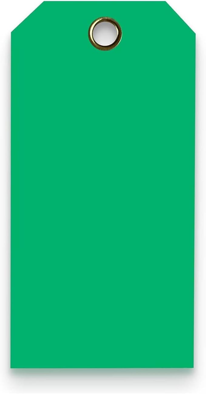 Tags 4 Less 15 Mil Waterproof Plastic Tags, Pack of 100 – 4” x 8” Heavy Duty Plastic Tags for Labeling, Outdoor Tagging, Equipment Labeling, Luggage, Valves & More (Dark Green)