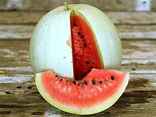 Seeds Watermelon Snow White Giant Heirloom Vegetable for Planting Non GMO