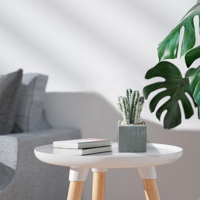 Cactus Artificial Plants in Gray Pots, Realistic Faux Cactus Potted Décor for Home, Office, Kitchen, Living Room, Desk, Shelf, and Indoor Decoration (Cylinder)