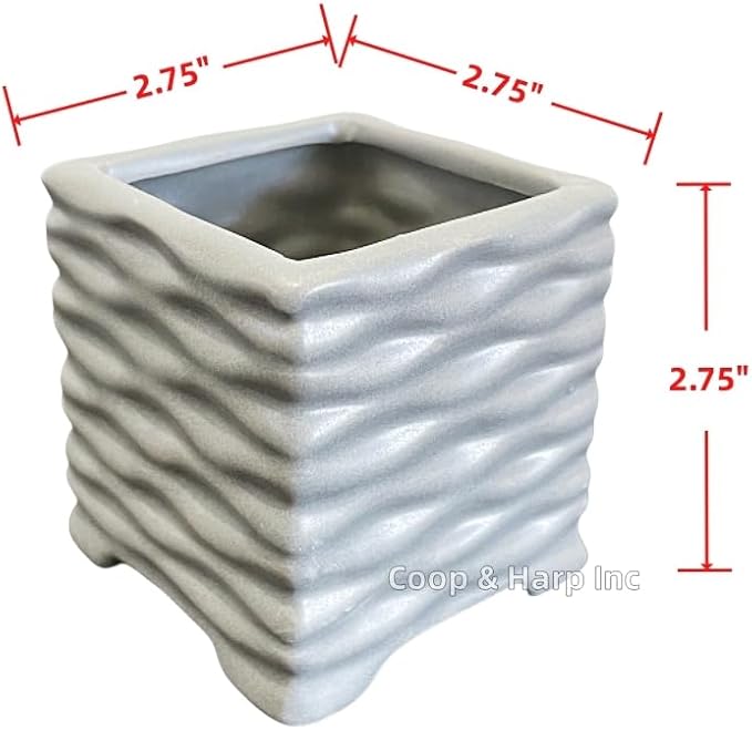 Coop & Harp 3-Stalk 4" Lucky Bamboo Live Indoor Plant with Ceramic Cube Textured Vase, Live Indoor Lucky Bamboo for Home, Office and Gift (Cube Gray)