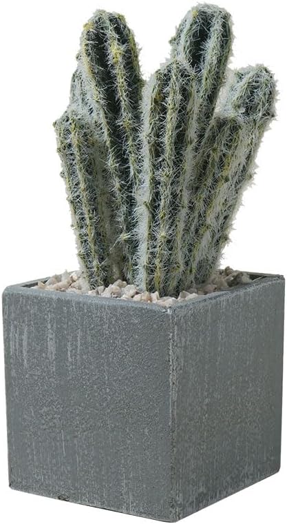 Cactus Artificial Plants in Gray Pots, Realistic Faux Cactus Potted Décor for Home, Office, Kitchen, Living Room, Desk, Shelf, and Indoor Decoration (Cylinder)