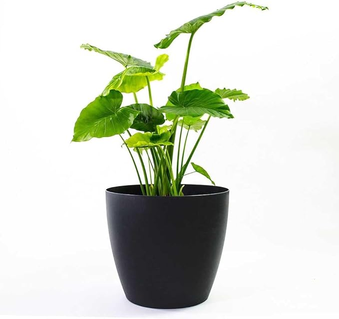 Memphis 13" Round Indoor Floor Planter Pot – Lightweight & Durable Plastic, Modern Design, Made in USA, Recyclable Large Plant Container for Home & Office Décor (Black)