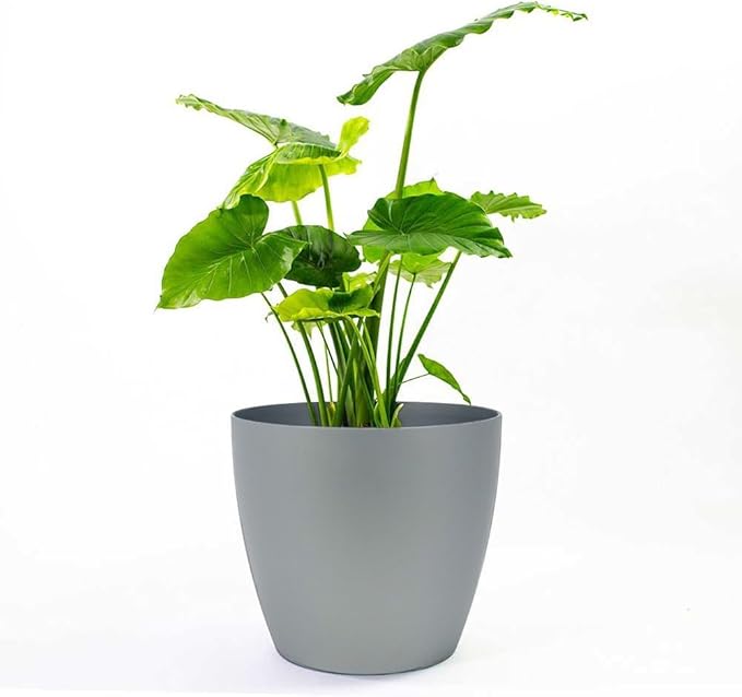 Memphis 13" Round Indoor Floor Planter Pot – Lightweight & Durable Plastic, Modern Design, Made in USA, Recyclable Large Plant Container for Home & Office Décor (Silver)