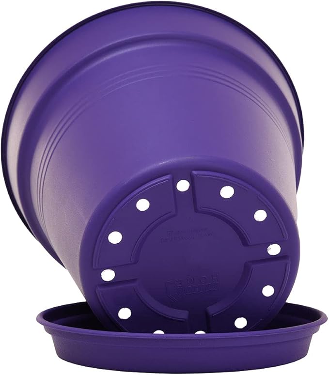 Mintra Home Garden Pots 4pk - Flowers, Herbs, Plants, Indoor, Outdoor, Colorful, Wholesale, Bulk (Purple, 11cm Diameter (4.3in))