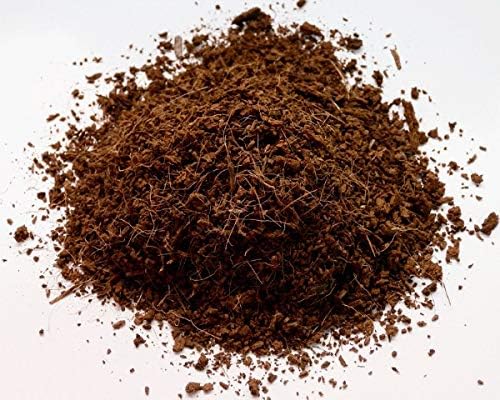 Cat Grass Growing Soil (4 Quarts), Soil for Starting and Growing Cat Grass, Loose Coconut Coir for Growing Cat Grass