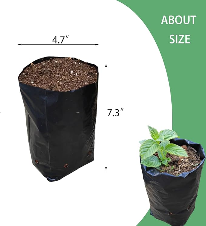 Belit 100 Pcs Plant Nursery Bags, Plastic Seedling Pots Container for Fruit Tree, Flower, Starting saplings, Plant Grow(4.7"x7.3")