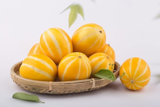 Melon Seeds for Planting (10 Seeds) - Grow Your Own Food (Korean Melon)