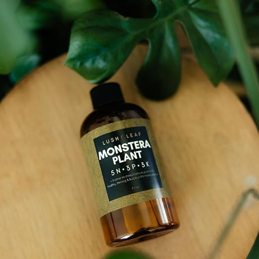 Lush Leaf | Plant Food (Monstera)