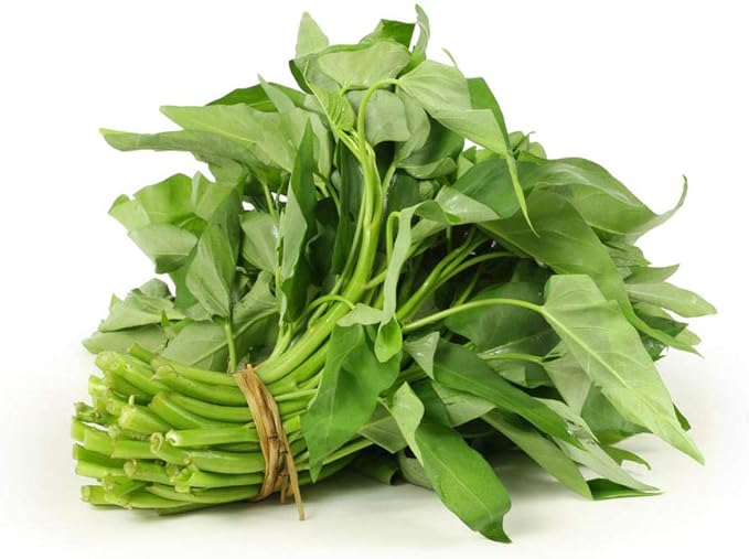 1000 Kangkong Seeds for Planting – Rau Muong Seeds Vietnam Variety – Kong Xin CAI Ong Choy Asian Vegetable for Filipino & Vietnamese Garden Growing